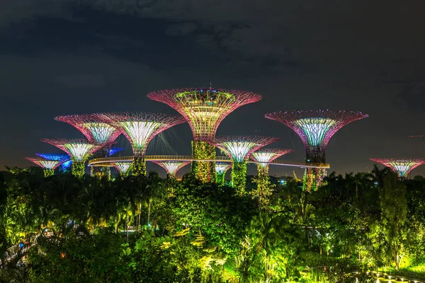 Singapur - 23 Haziran 2018: Supertree Grove Gardens Körfez Marina Bay Sands hotel yaz geceleri yakınındaki Singapur'da