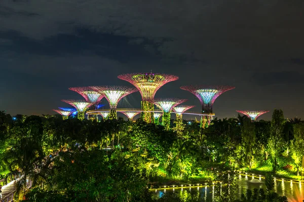 Singapur Junio 2018 Supertree Grove Gardens Bay Singapur Cerca Del —  Fotos de Stock