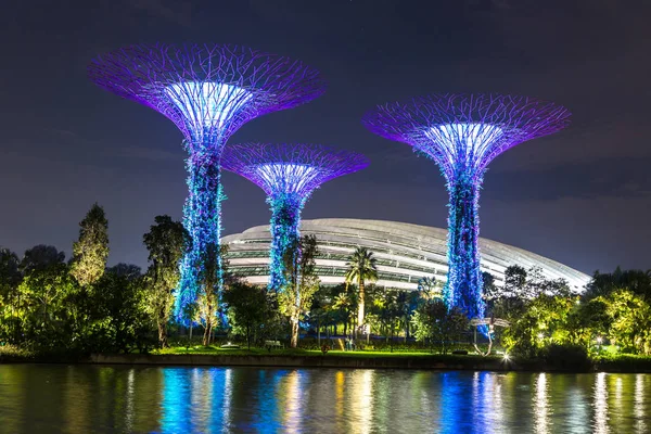 Σιγκαπούρη Ιουνίου 2018 Grove Supertree Στο Κήπο Από Τον Κόλπο — Φωτογραφία Αρχείου