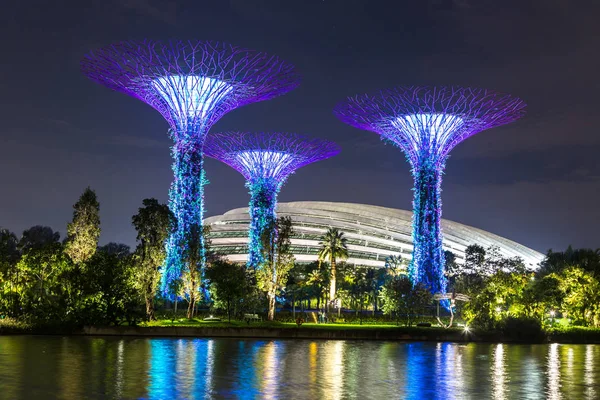 Singapur - 23 Haziran 2018: Supertree Grove Gardens koy ve Marina Bay Sands hotel yaz geceleri yakınlarında Singapur serada tarafından