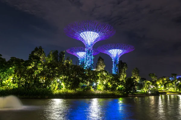 Singapur - 23 Haziran 2018: Supertree Grove Gardens Körfez Marina Bay Sands hotel yaz geceleri yakınındaki Singapur'da