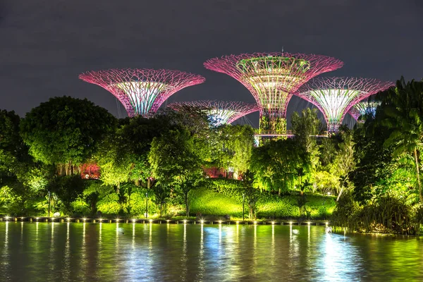 Singapur - 23 Haziran 2018: Supertree Grove Gardens Körfez Marina Bay Sands hotel yaz geceleri yakınındaki Singapur'da