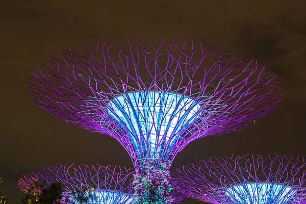 Singapur - 23 Haziran 2018: Supertree Grove Gardens Körfez Marina Bay Sands hotel yaz geceleri yakınındaki Singapur'da