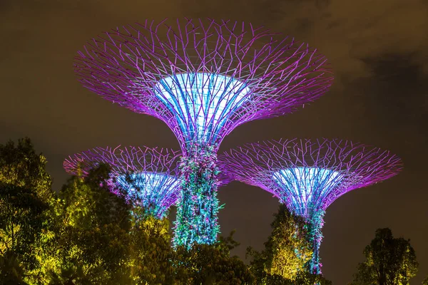 Singapur - 23 Haziran 2018: Supertree Grove Gardens Körfez Marina Bay Sands hotel yaz geceleri yakınındaki Singapur'da