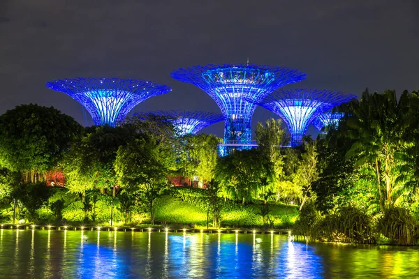 Singapore Juni 2018 Der Supertree Grove Garden Bay Singapore Marina — Stockfoto
