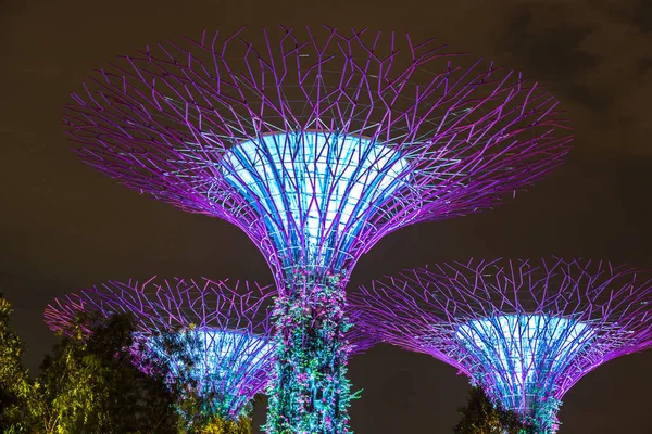 Singapur Junio 2018 Supertree Grove Gardens Bay Singapur Cerca Del —  Fotos de Stock