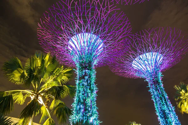 Singapur - 23 Haziran 2018: Supertree Grove Gardens Körfez Marina Bay Sands hotel yaz geceleri yakınındaki Singapur'da