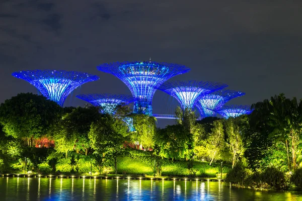 Singapore Junho 2018 Supertree Grove Gardens Bay Singapura Perto Hotel — Fotografia de Stock
