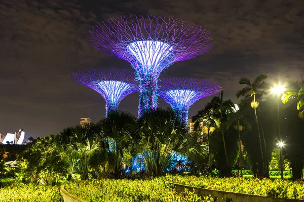 Singapur - 23 Haziran 2018: Supertree Grove Gardens Körfez Marina Bay Sands hotel yaz geceleri yakınındaki Singapur'da