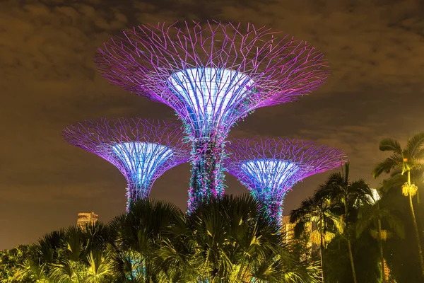 Singapur - 23 Haziran 2018: Supertree Grove Gardens Körfez Marina Bay Sands hotel yaz geceleri yakınındaki Singapur'da