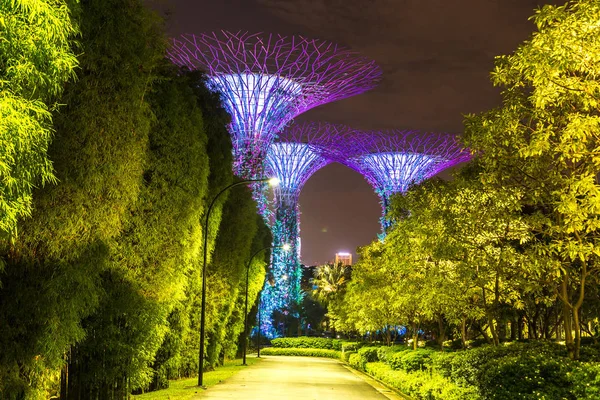 Singapur Června 2018 Supertree Grove Zahradách Bay Singapuru Poblíž Hotelu — Stock fotografie