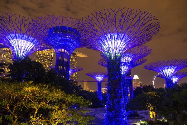 Singapur - 23 Haziran 2018: Supertree Grove Gardens Körfez Marina Bay Sands hotel yaz geceleri yakınındaki Singapur'da