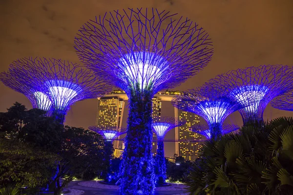 Singapore Juni 2018 Supertree Grove Tuinen Langs Baai Singapore Buurt — Stockfoto