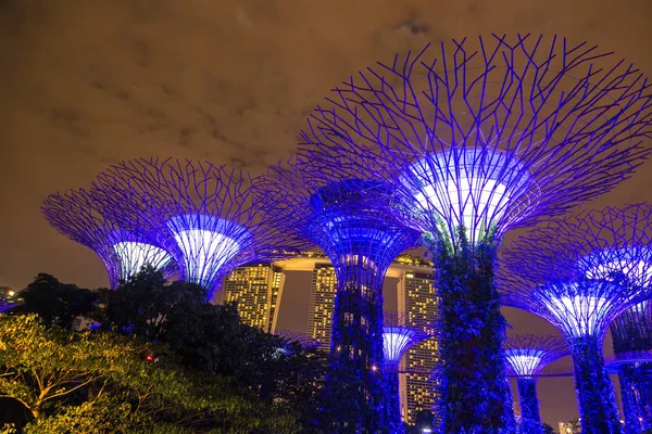 Singapur - 23 Haziran 2018: Supertree Grove Gardens Körfez Marina Bay Sands hotel yaz geceleri yakınındaki Singapur'da