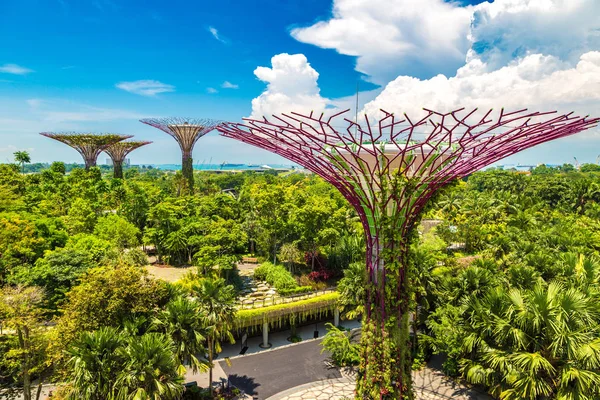 SINGAPORE - 23 Haziran 2018 'de Marina Körfezi Sands Oteli yakınlarındaki Singapur Körfezi yakınlarındaki Gardens' taki Supertree Grove