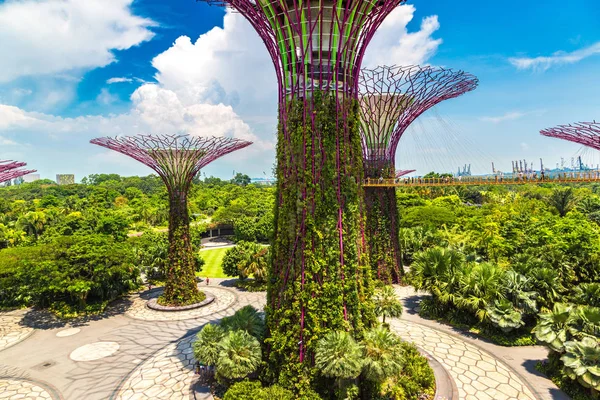 SINGAPORE - 23 Haziran 2018 'de Marina Körfezi Sands Oteli yakınlarındaki Singapur Körfezi yakınlarındaki Gardens' taki Supertree Grove