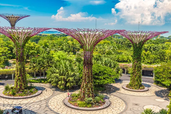 SINGAPORE - 23 Haziran 2018 'de Marina Körfezi Sands Oteli yakınlarındaki Singapur Körfezi yakınlarındaki Gardens' taki Supertree Grove