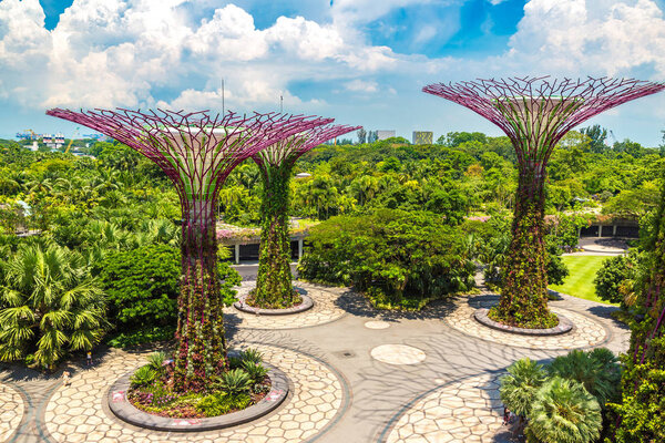 SINGAPORE - JUNE 23, 2018: The Supertree Grove at Gardens by the Bay in Singapore near Marina Bay Sands hotel at summer day