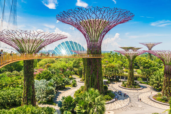 SINGAPORE - JUNE 23, 2018: Walkway at The Supertree Grove at Gardens by the Bay in Singapore near Marina Bay Sands hotel at summer night