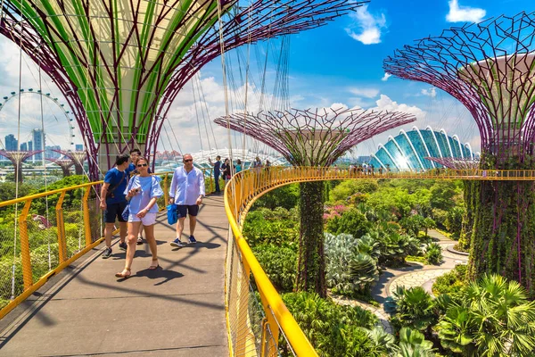 Singapur Haziran 2018 Supertree Grove Gardens Körfez Marina Bay Sands — Stok fotoğraf