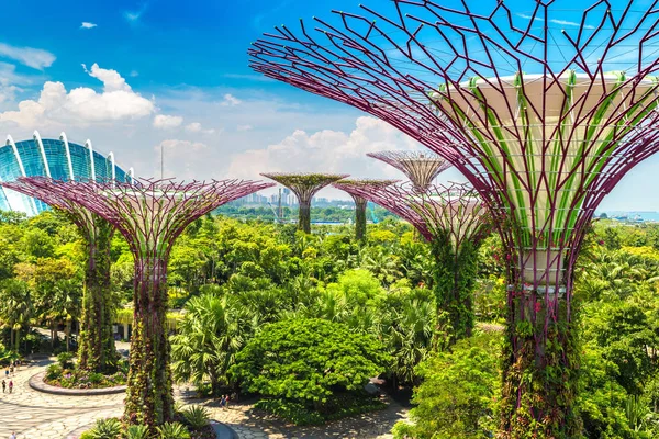 Singapore Junho 2018 Supertree Grove Gardens Bay Greenhouse Singapura Perto — Fotografia de Stock