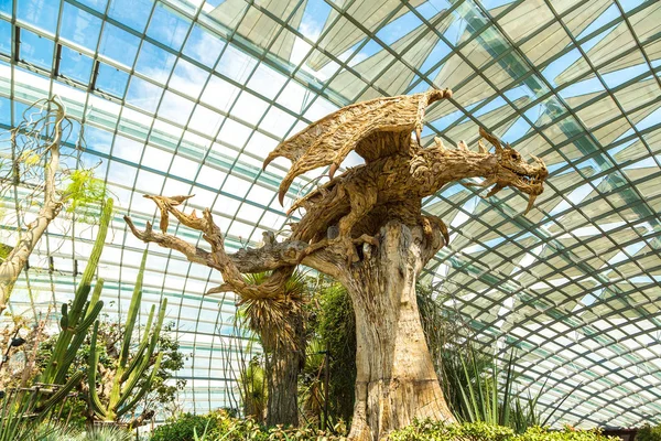 Singapore Juni 2018 Dragon Gjord Naturliga Träd Vinterträdgården Blomma Dome — Stockfoto