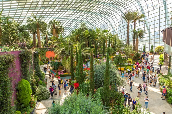 Singapur - 23 Haziran 2018: Konservatuvarı çiçek kubbe Singapur yaz gün