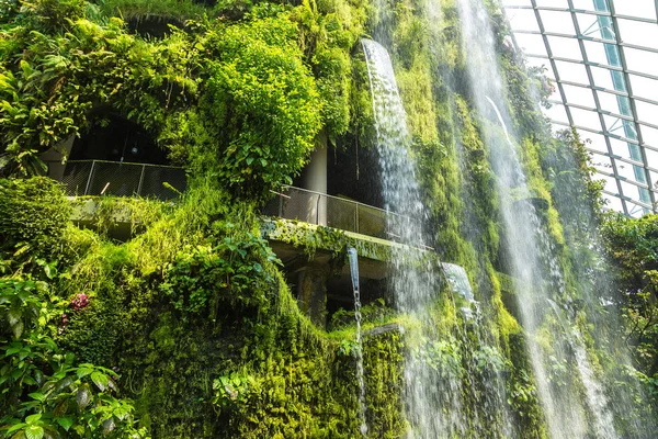 Singapore Junho 2018 Cachoeira Cúpula Floresta Nuvem Conservatória Cingapura Dia — Fotografia de Stock