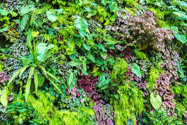 Vertical garden with tropical green leaf and flowers. Nature background