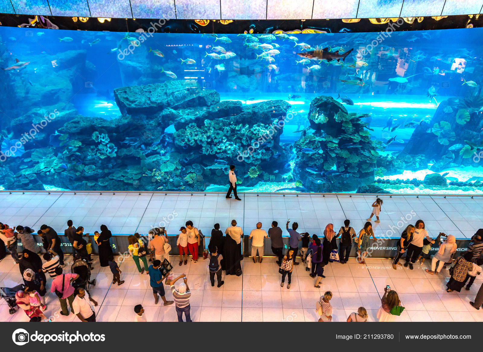 Dubai Uae June 2018 Aquarium Dubai Mall World Largest Shopping