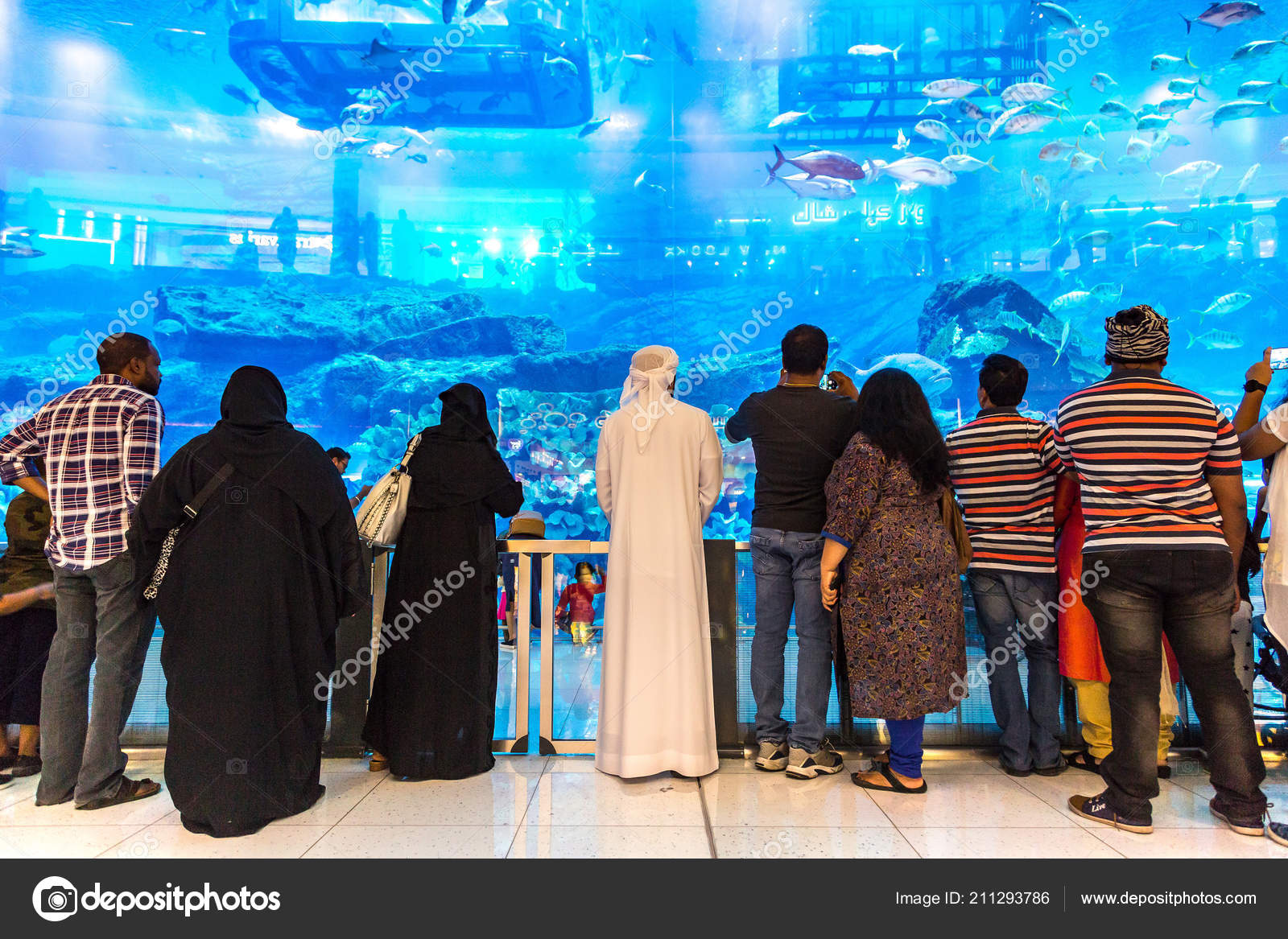 Dubai Uae June 2018 Aquarium Dubai Mall World Largest Shopping
