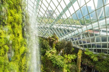 Singapur - 23 Haziran 2018: Şelale Konservatuarı bulut orman kubbe Singapur yaz gün