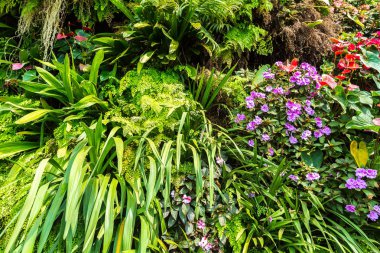 Dikey Bahçe tropikal yaprak yeşil ve çiçeklerle. Doğa arka plan