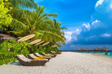 Maldivler - 24 Haziran 2018: Tropikal plaj yaz günü, Maldivler ahşap şezlong