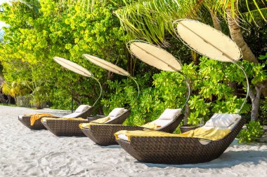 Maldivler - 24 Haziran 2018: Tropikal plaj yaz günü, Maldivler ahşap şezlong