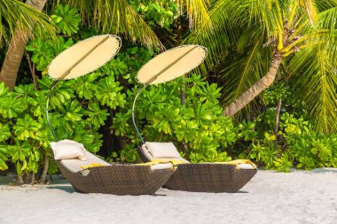 Maldivler - 24 Haziran 2018: Tropikal plaj yaz günü, Maldivler ahşap şezlong