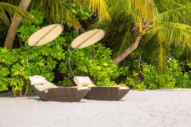 Maldivler - 24 Haziran 2018: Tropikal plaj yaz günü, Maldivler ahşap şezlong