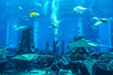 DUBAI, BAE - 26 Haziran 2018: Kayıp odalar - Dubai, Birleşik Arap Emirlikleri, Atlantis Oteli 'ndeki büyük akvaryum