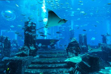 DUBAI, BAE - 26 Haziran 2018: Kayıp odalar - Dubai, Birleşik Arap Emirlikleri, Atlantis Oteli 'ndeki büyük akvaryum