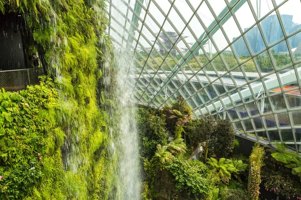 Singapore Juni 2018 Vattenfall Vinterträdgården Molnskog Kupolen Singapore Sommardag — Stockfoto