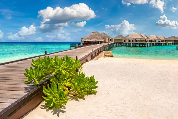 Malediwy Czerwca 2018 Water Villas Bungalowy Drewniany Most Tropikalnej Plaży — Zdjęcie stockowe