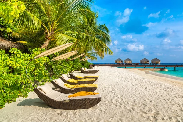 Malediven Juni 2018 Holzsonnenliege Tropischen Strand Der Malediven Sommertag — Stockfoto