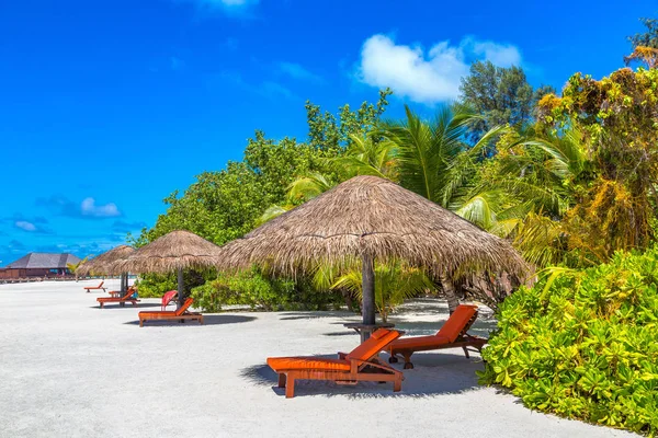Maldives June 2018 Wooden Sunbed Umbrella Tropical Beach Maldives Summer — Stock Photo, Image