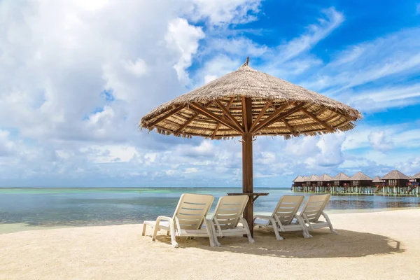 Maldives Junho 2018 Cama Sol Guarda Chuva Madeira Praia Tropical — Fotografia de Stock