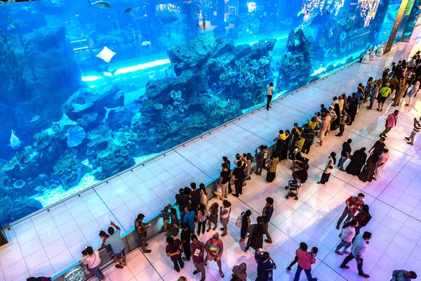 Dubai Emiratos Árabes Unidos Junio 2018 Acuario Dubai Mall Centro —  Fotos de Stock