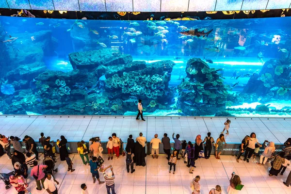 Dubai Emirados Árabes Unidos Julho 2018 Aquário Dubai Mall Maior — Fotografia de Stock