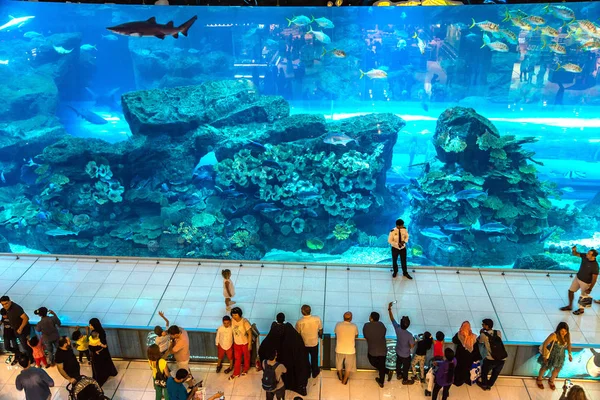 ドバイ モール 世界最大のショッピング モールでドバイ アラブ首長国連邦のドバイ アラブ首長国連邦 2018 水族館 — ストック写真