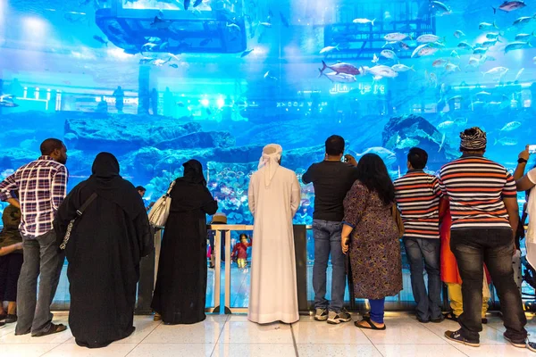 Dubai Förenade Arabemiraten Juni 2018 Akvarium Dubai Mall Världens Största — Stockfoto