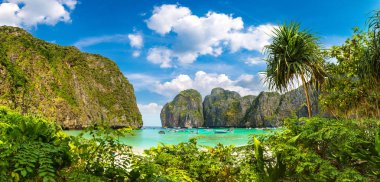 Bir yaz günü Tayland Koh Phi Phi Leh adada Maya Körfezi Panoraması