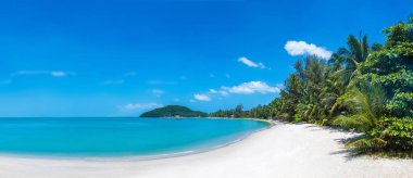 Koh Samui Adası, Tayland bir yaz günü palmiye ağaçları ile tropikal plaj